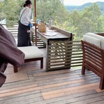 ゆずの木 ねむの木 みずたまの木 - 