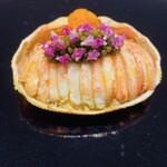 イル アオヤマ - 