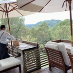 ゆずの木 ねむの木 みずたまの木 - 