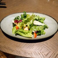 New American Dining GOTTA - 