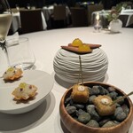 サンス・エ・サヴール - 