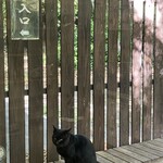 侍屋敷大松沢家 - 