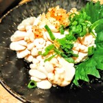 ハカタホタル - 