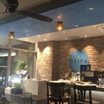 SPICA Bistro - 