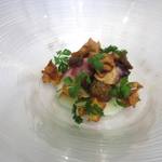 クイントカント - 