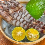 なーんちゃって居酒屋 銀太郎 - 車海老のお刺身。うまし。