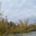 インデアンレストラン  ニューミラ - 