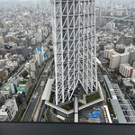 天空LOUNGE TOP of TREE - 