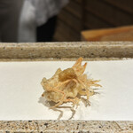 日本橋 蕎ノ字 - 