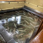 博多料亭 稚加榮 - 