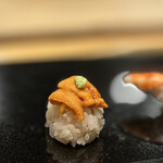 鮨と天草大王 天音 - 