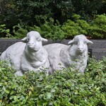 キャトルラパン - 