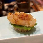 恵比寿 鮨 はつめ - 