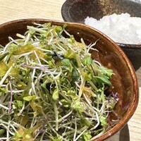 焼鳥 くまわき - 