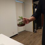 La Vallee d'Or - チキンのコンソメ　ミントの香り