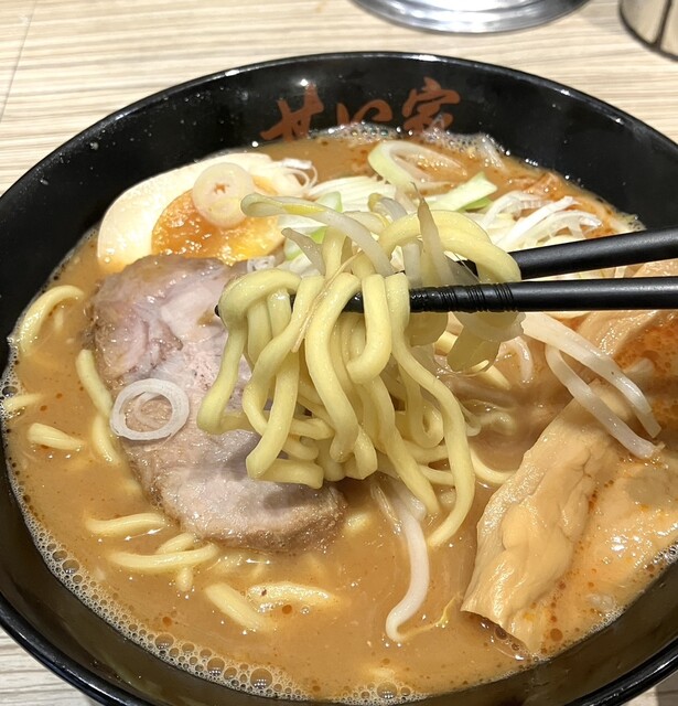 Seiya Musashi Koyama Ten photo 3