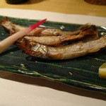 味野里香 - 本ししゃも