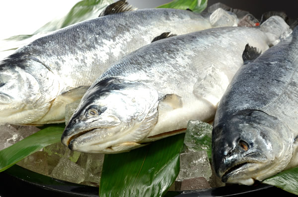 女川温泉　華夕美 - 浦宿（料理旅館）の写真