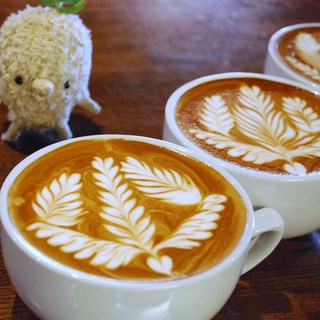 個室あり 札幌市でおすすめのコーヒー専門店をご紹介 食べログ 個室あり 札幌市でおすすめのコーヒー専門店をご紹介 食べログ