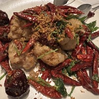 CINA New Modern Chinese - 