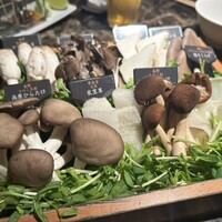 Shangri-La's secret ROPPONGI - 