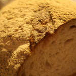 シニフィアン シニフィエ