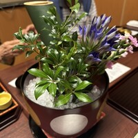 京懐石 みのきち 新宿住友店 - 