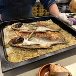 anchoa - 