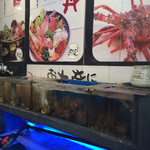 とびっちょ - とびっちよ・一階の待ち席の脇にある水槽。サザエと鯵、平目が泳いでいた。