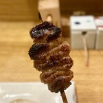 地葉はなれ - 2024.11.  皮