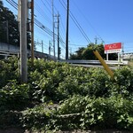 レストランゆり - 