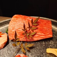 USHIGORO S. SHINJUKU - 