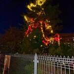 AKARENGA STEAK HOUSE - 