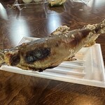 川魚センター - 