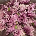 川場田園プラザ - 