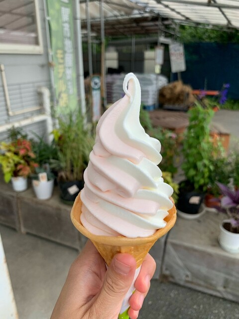 季節館食堂 - 柴宿（食堂）の写真