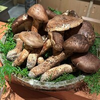 鈴田式 - 