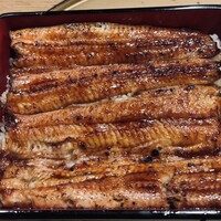 うなぎ 目白ぞろ芽 - 