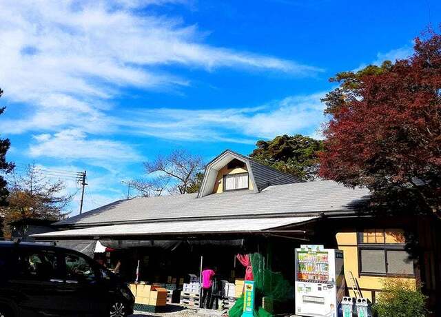 お食事処 美豚 - 白坂（食堂）の写真