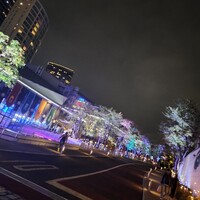 grigio la tavola -  grigio la tavola -