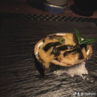 星空の中へ - 