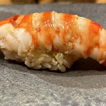 鮨 匠海 - 車海老