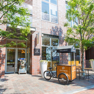 バニラビーンズ_2