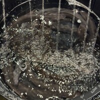 うなぎのしろむら -  うなぎのしろむら -
