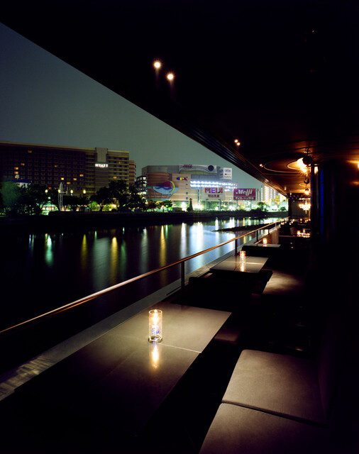 ミツバチ 81rm55OnsYL._AC_UF350,