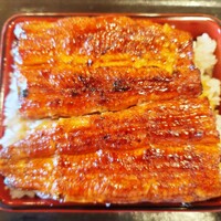 満寿家 - うな重 上（4,950円） 大盛り（+100円）