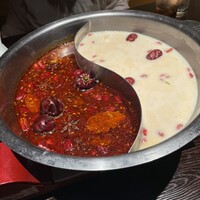 雪梅花 菜根譚 - 