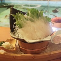 活皮はぎ（一匹）