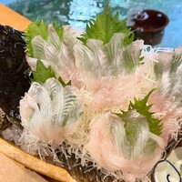 活平目