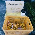 ヨコクラうどん - 店先で季節の果物販売中